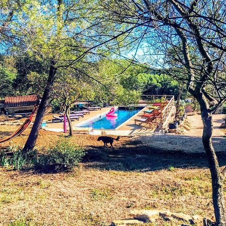 Arche De Noe Atypique, Boheme , Nature, Piscine Chauffee De Paques A Toussaint , Spa , Sauna , Loisirs 勒博塞 外观 照片