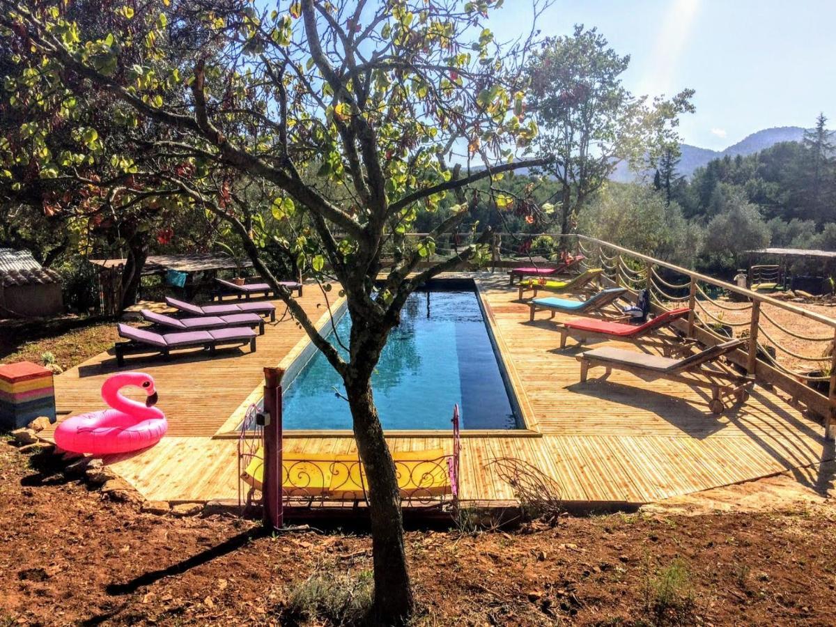 Arche De Noe Atypique, Boheme , Nature, Piscine Chauffee De Paques A Toussaint , Spa , Sauna , Loisirs 勒博塞 外观 照片